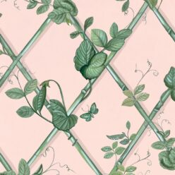 Pink & Green