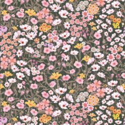 La Semilla Casa • Barney Fields • Black Forest • Swatch
