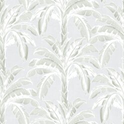 Silver Foglia