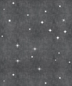 Milton & King Studios • Southern Skies • Charcoal • Swatch