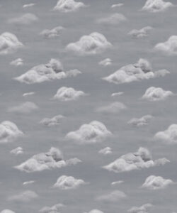 Milton & King Studios - Dreamy - Storm