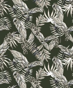 Maeve Oliver - Cooktown Orchids - Ivy Green