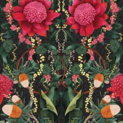 Kingdom Home - Waratah Medley - Night