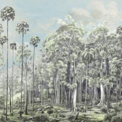 Eucalyptus