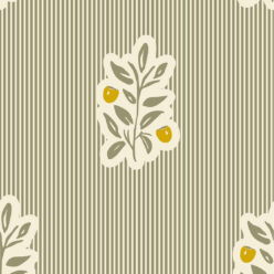 Olivo e Yellow