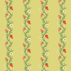 Chartreuse  e rosso