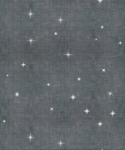 Papel pintado Southern Skies Grasscloth - Color: Azul Dark - Colección Pattern Play