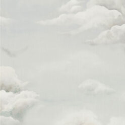Brume