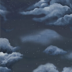 Nuit