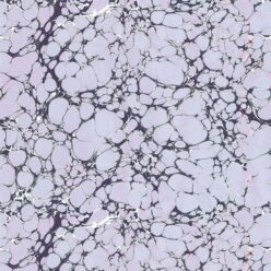 Lavender medianoche