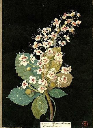 Inspiration - Tradition neu interpretiert für heute