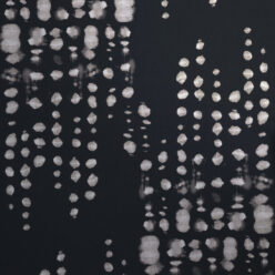 Charcoal Reversed Silver)